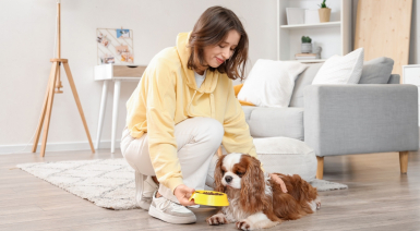 Les besoins nutritionnels du Cavalier King Charles